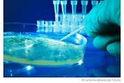 belastung-bakterien-wasseranalyse